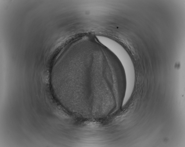 X0000090700689200708171847