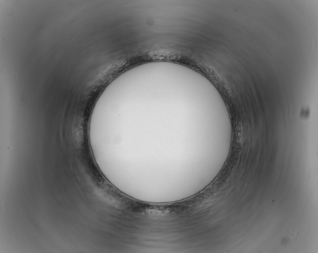 X0000090700690200708171847