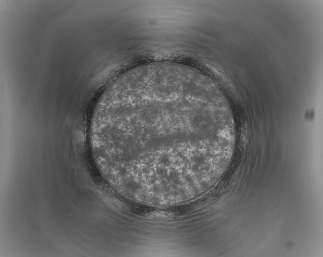 X0000090700691200708171847