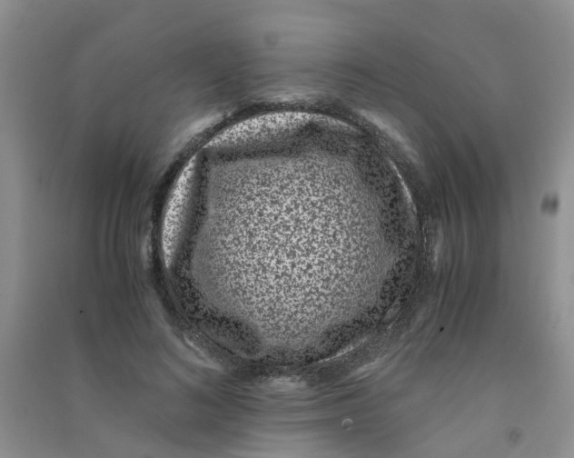 X0000090700692200708171847