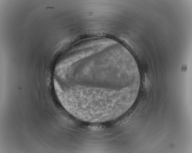 X0000090700693200708171847