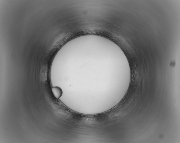 X0000090700694200708171847