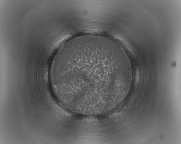 X0000090700696200708171846