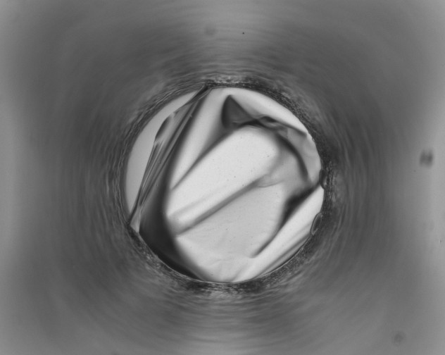 X0000090700697200708171846