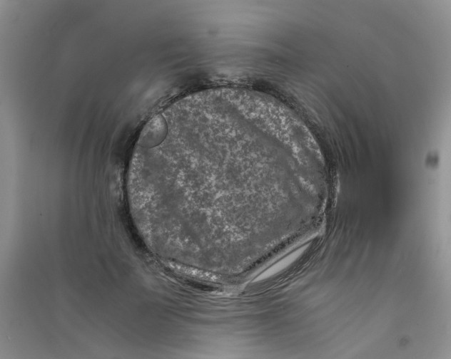 X0000090700699200708171846