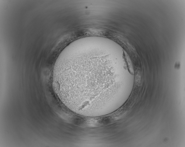 X0000090700701200708171846