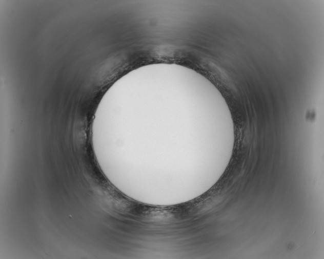 X0000090700702200708171846