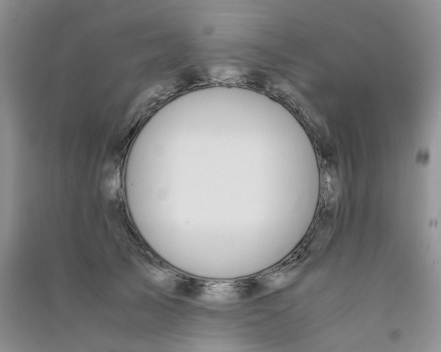 X0000090700705200708171846