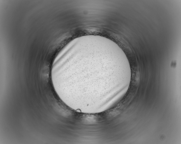 X0000090700710200708171846