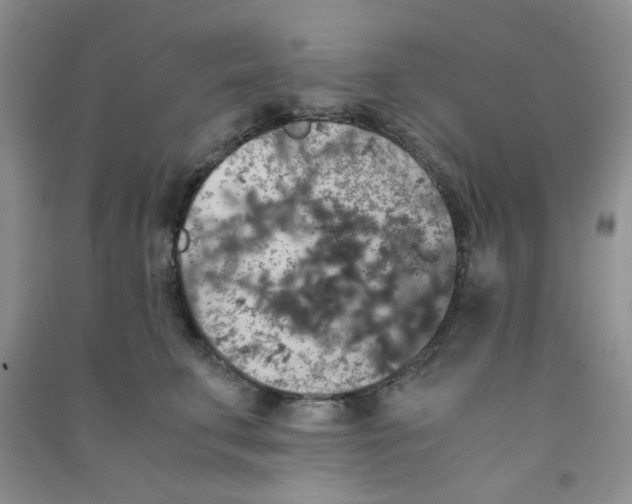 X0000090700711200708171846