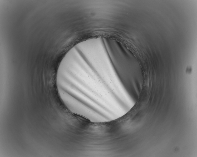 X0000090700712200708171846