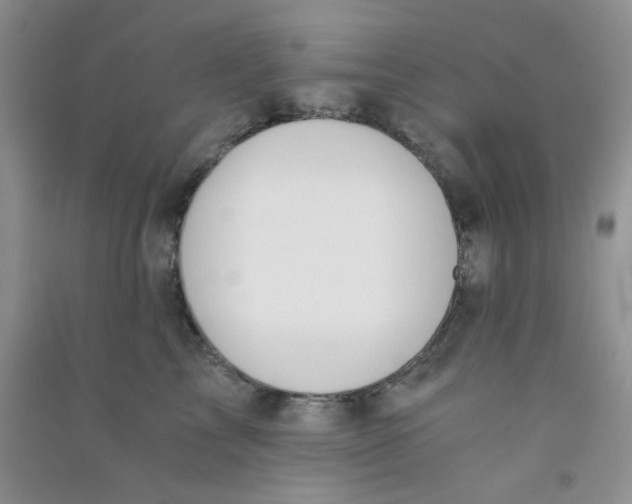 X0000090700713200708171846