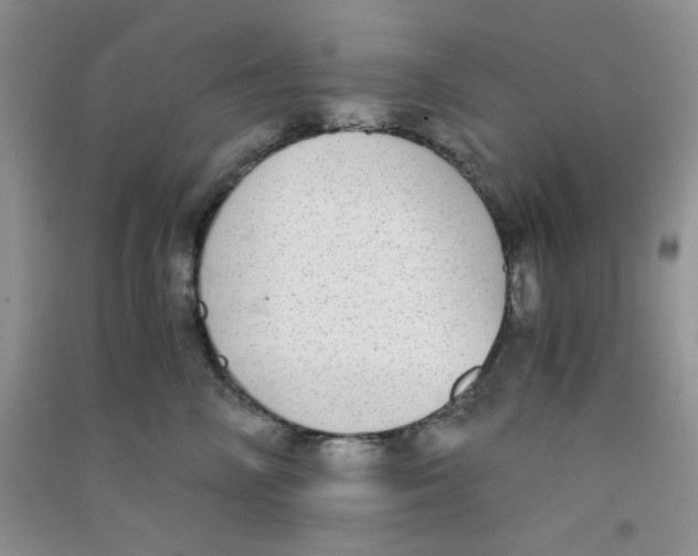 X0000090700714200708171846