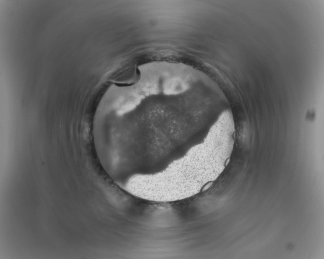 X0000090700715200708171846