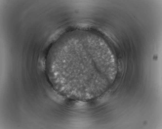 X0000090700718200708171846