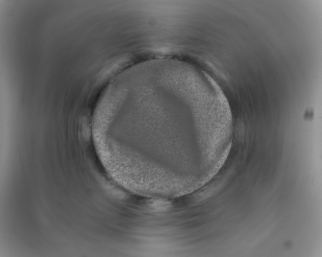 X0000090700719200708171846