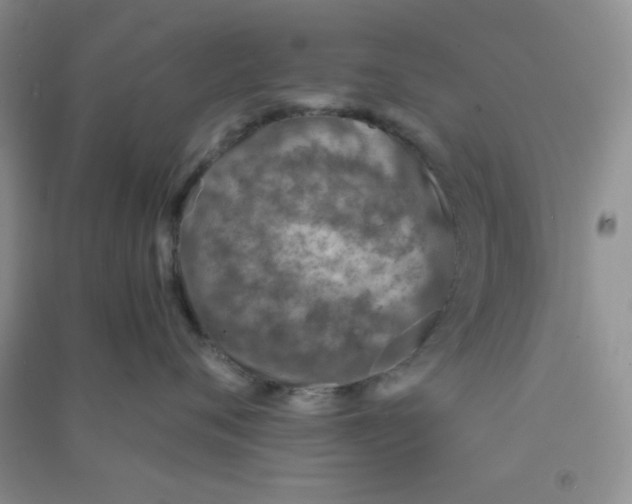 X0000090700720200708171846