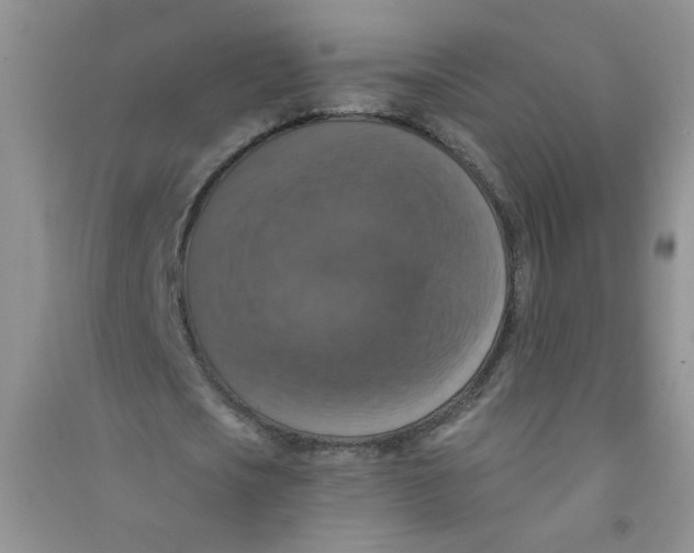 X0000090700721200708171845