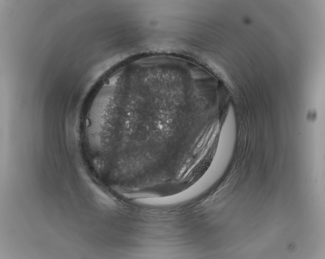 X0000090700722200708171845