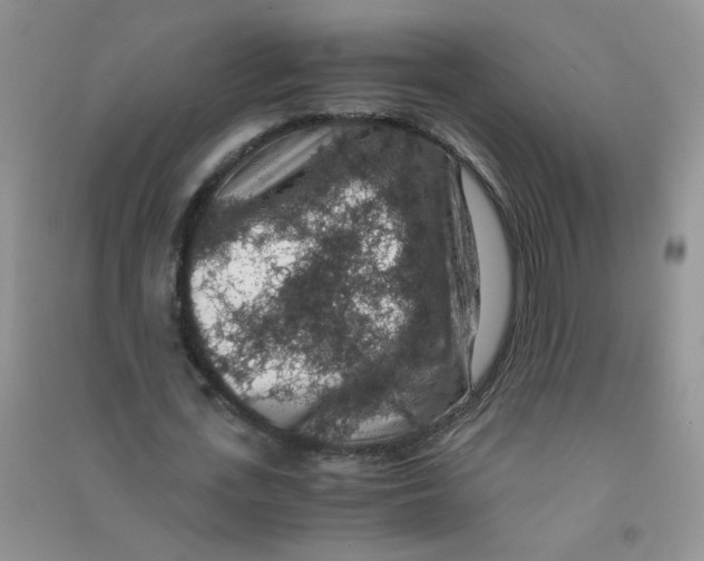 X0000090700723200708171845