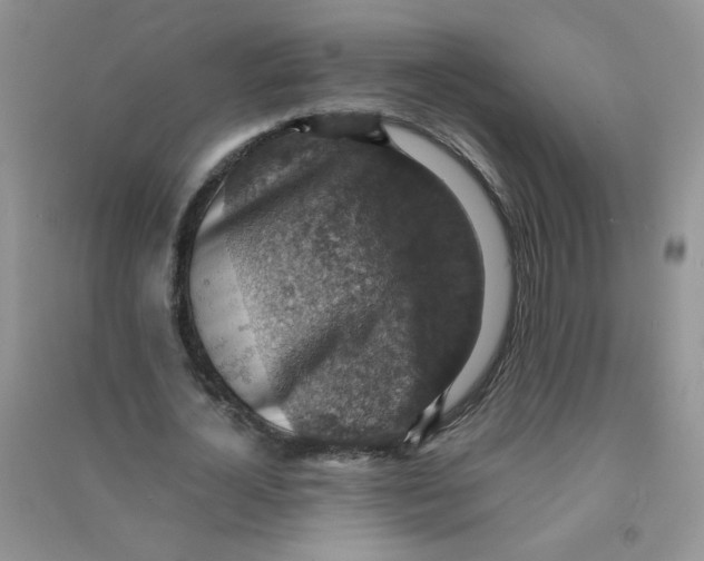 X0000090700724200708171845