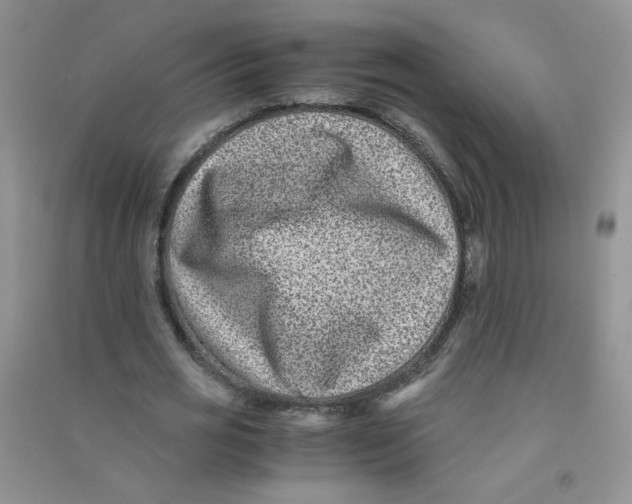 X0000090700725200708171845