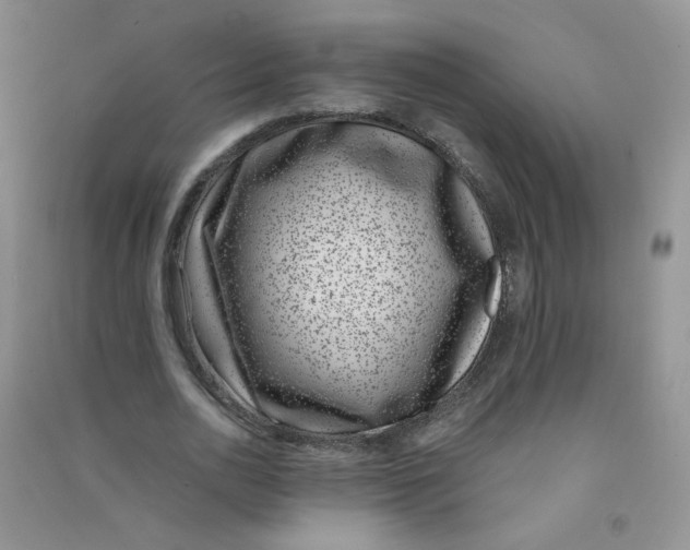 X0000090700726200708171845