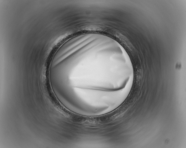 X0000090700727200708171845