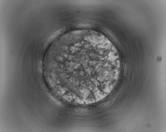 X0000090700729200708171846