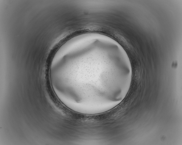 X0000090700730200708171846