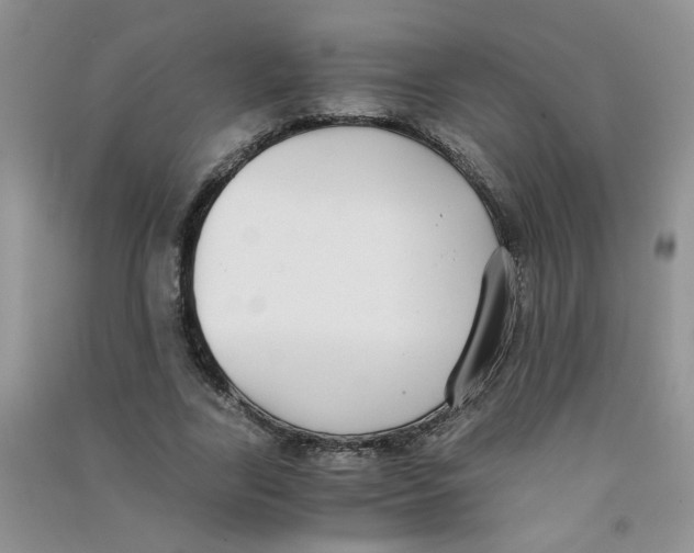 X0000090700731200708171846