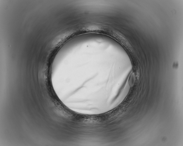 X0000090700732200708171846