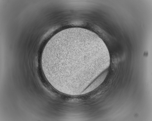 X0000090700734200708171846