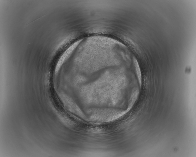 X0000090700735200708171846