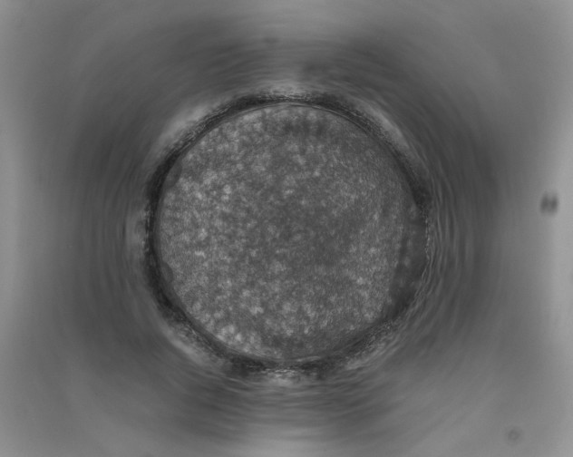 X0000090700736200708171846