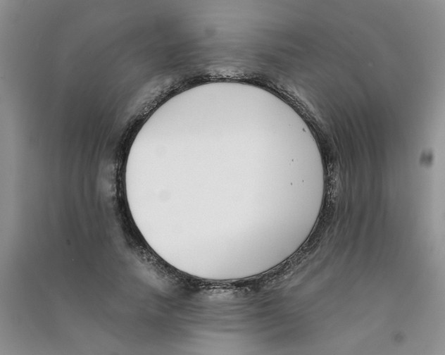 X0000090700738200708171846