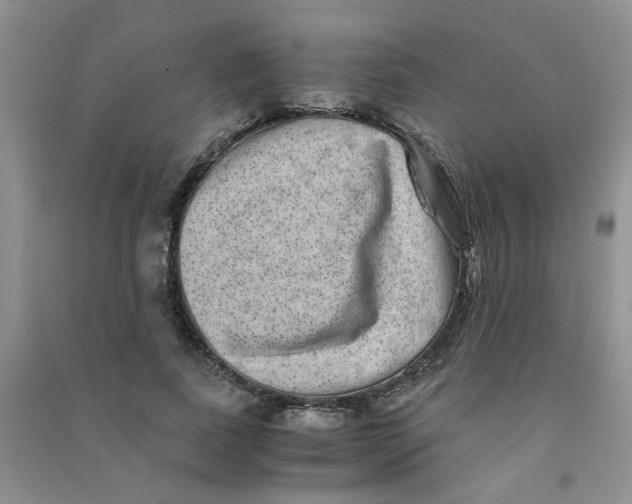 X0000090700739200708171846