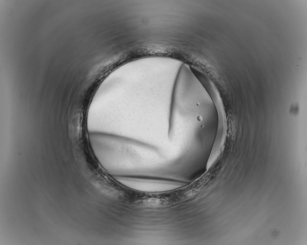 X0000090700740200708171846