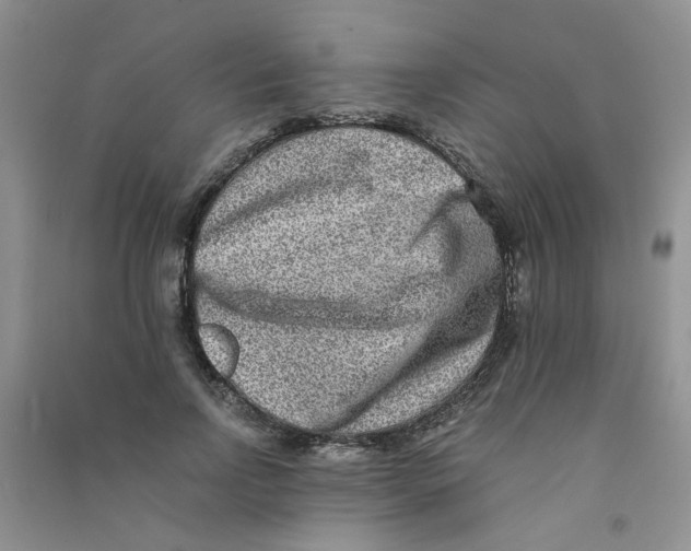 X0000090700742200708171846