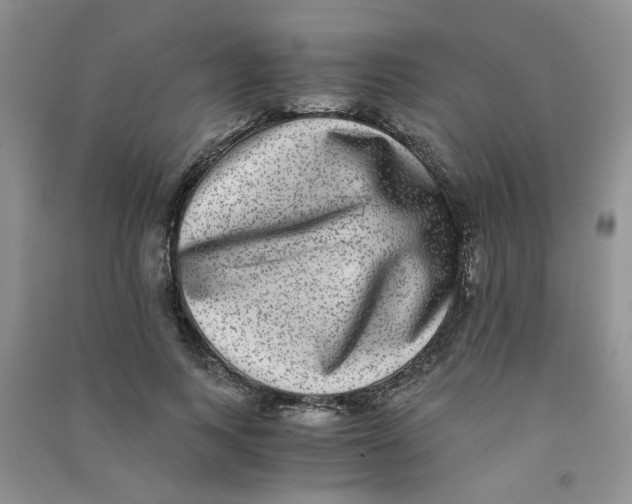 X0000090700743200708171846