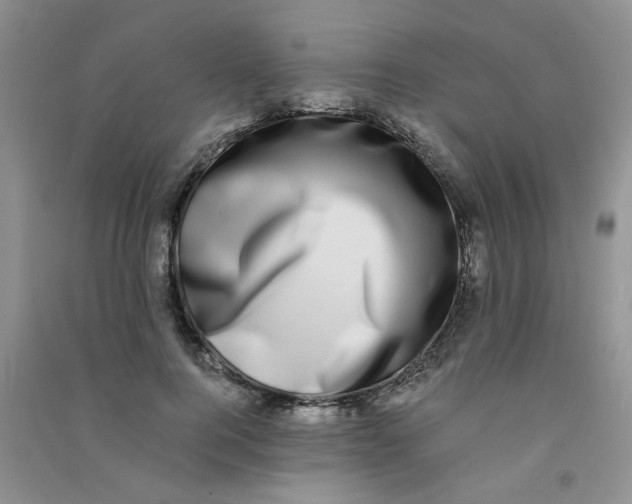 X0000090700744200708171846