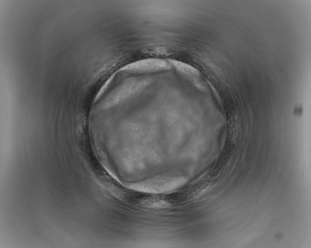 X0000090700747200708171846