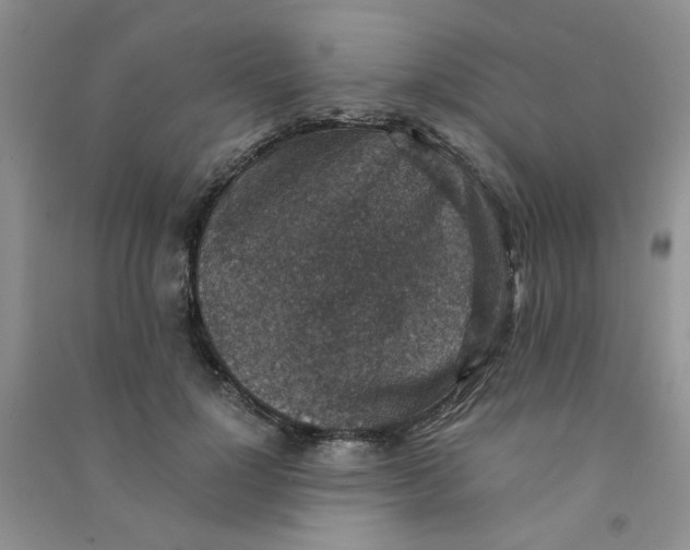 X0000090700748200708171846