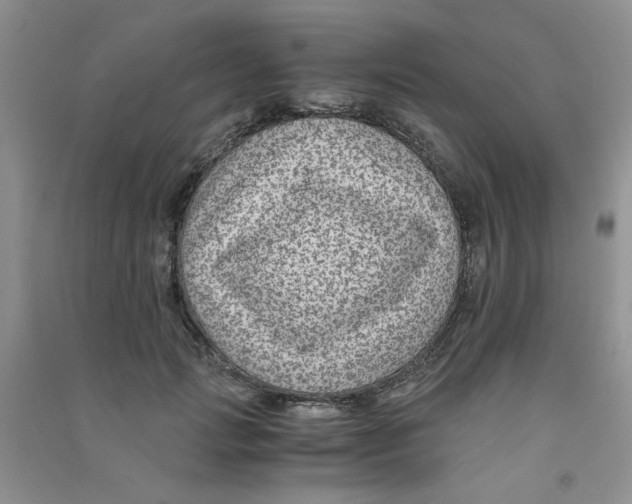 X0000090700749200708171846