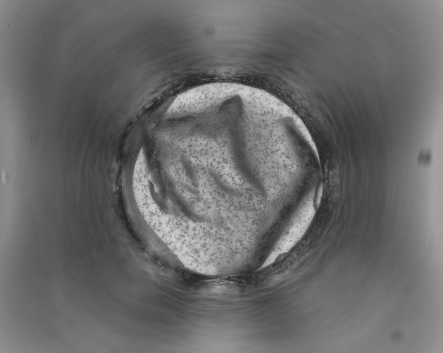 X0000090700750200708171846