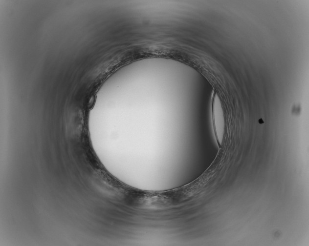 X0000090700752200708171846