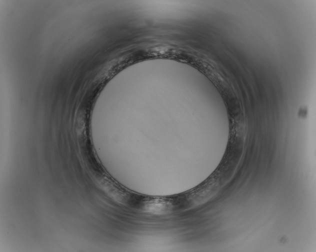 X0000090700754200708171846