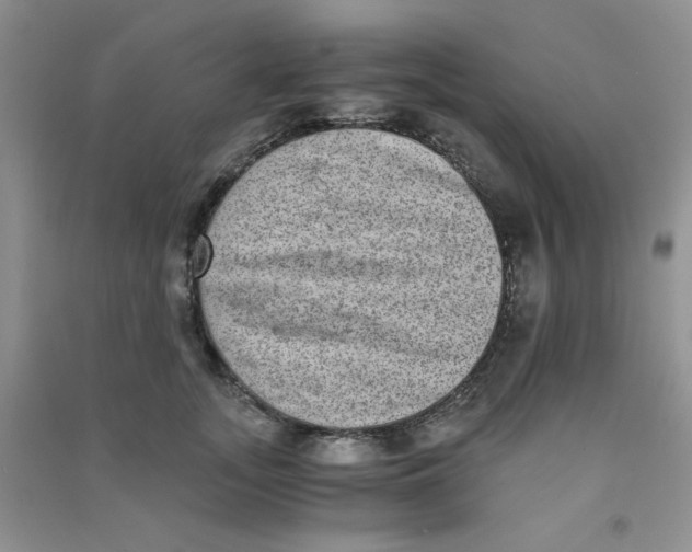 X0000090700755200708171846