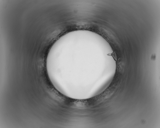 X0000090700756200708171846