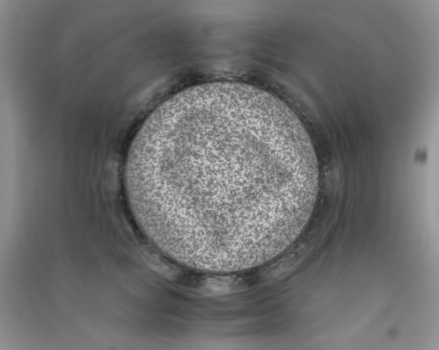 X0000090700757200708171846